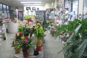 「フラワーショップ　サン」　（岡山県瀬戸内市）の花屋店舗写真2
